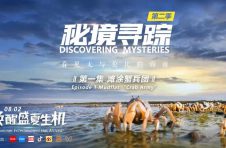 《秘境寻踪》第二季于8月2日正式在海内外各大平台播出,向世界展示海南丰富的自然人文资源