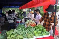 海南昌江：新鲜实惠平价菜让市民喜笑颜开