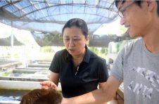 中国科学院南海海洋研究所研究员黄晖：在蓝海种出一片“海底森林”