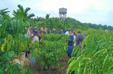 海南万宁邀请博士为农民培训热带作物栽培技术
