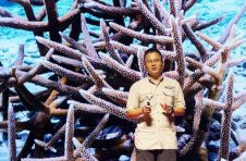海南大学教授李秀保：18年孜孜不倦，为珊瑚搭起美丽家园