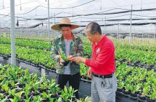 海南东方大田镇乐妹村：打造“美丽经济” 助力乡村振兴