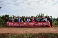 琼山区云龙镇云岭村产业帮扶振兴集市顺利举行，特色农产品热卖40万余元！