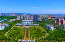 海南定安：探索林业产业发展新业态 描绘林下经济特色“风景画”
