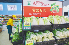 海南省代表委员积极建言“菜篮子”保供稳价：让群众满意 让菜农得利