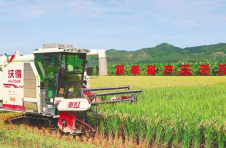琼湘鄂聚焦种业振兴：攻关农业“中国芯” 打赢种业翻身仗