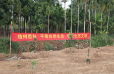 海南白沙：同绘宝岛绿色生态画卷 共建中华民族四季花园