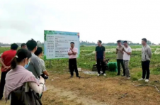 海南万宁市推广种植新品种 优质麒麟西瓜助农增收
