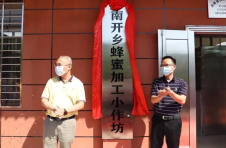 海南白沙南开乡深化蜂蜜特色产业生产链条 助力乡村振兴百姓致富