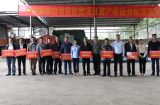 分红60万元！海南白沙橡胶产业为乡村振兴增添动力