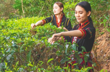 海南五指山水满乡：厚植生态绿 掘出致富金