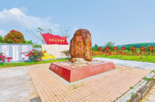 海口市琼山区大坡镇塔昌村：革命老区焕新颜