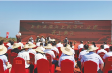 海南：将打造海上风电500亿级产业链
