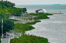 积极行动保护湿地，为海口这些志愿者点赞