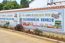 海南万宁市后边溪村：党建引领奏响乡村建设“三部曲”