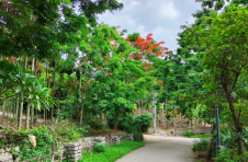 三亚崖州区抱古村：走上文明路 开出致富花