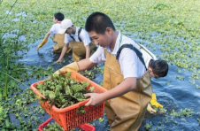 海口秀英区组织志愿者和学生参与辖区水域“六水共治”整治行动