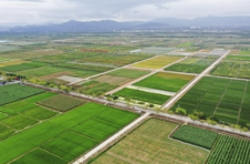 三亚崖州湾科技城：助力南繁硅谷建设 为种业发展加“芯”