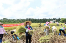 海南省妇联汇聚巾帼力量 持续推动兴粮节粮