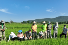 海南出台系列举措促进农业生产、农民增收