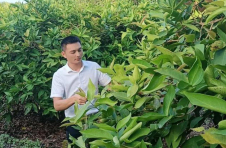 海口美兰区三江镇茄苪村党支部书记王琼：让村民吃“产业饭”走致富路