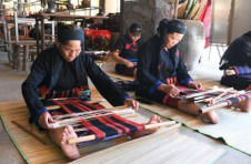 三亚崖州区南滨居白超队：打造黎族风情宜居宜游生态村