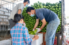 三亚崖州区冬季瓜菜日交易量飙升40倍，高峰期预计每天有400万斤瓜菜出岛
